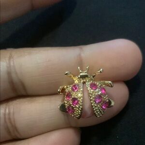 Tiny Vintage Gold and Pink Ladybug Brooch